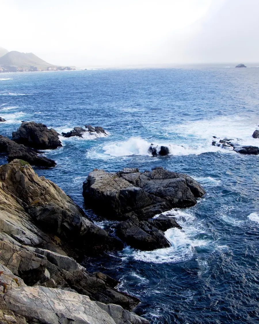Pacific coast