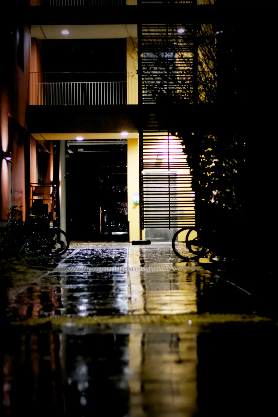After the rain